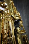 画像6: Selmer SerieII GP Alto (6)