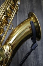 画像3: PROGRESS Tenor (3)