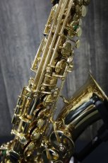 画像6: Buffet Crampon S2 Alto (6)